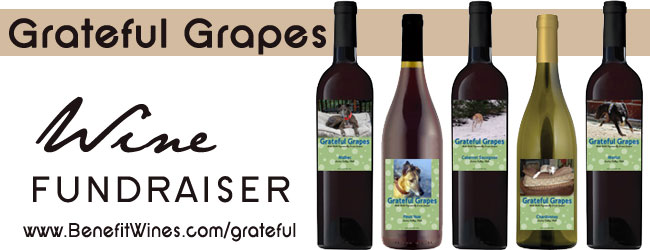 Grateful Grapes
